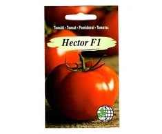 Agrimatco Pomidorų sėklos 10vnt. Hector