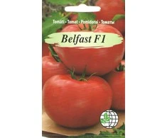 Agrimatco Pomidorų sėklos 7 sėklos Belfast