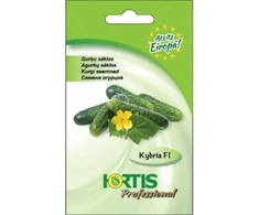 Agurkų sėklos Hortis 10 sėklų Kybria