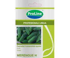 Agurkų sėklos MERENGUE H, 10 vnt