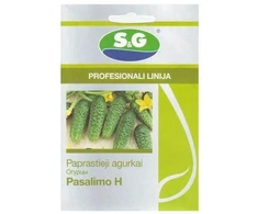 Agurkų sėklos PASAMONTE H, 15 vnt./pak.