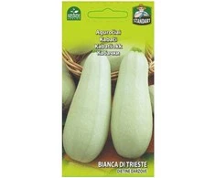 Aguročiai "Bianca di Trieste" 2g 2111