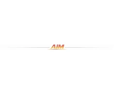 AiM Walizka na Auta Resoraki Hot Wheels Cars 48 Miejsc Dwustronna + Naklejki