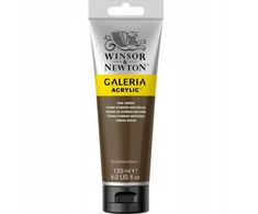 Akriliniai dažai Winsor &amp; Newton Galeria 120 ml, 554 Raw Umber