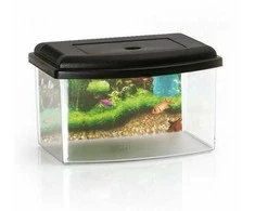 Akvariumas su dangčiu Aquarium 2 Georplast 28x20x17cm/5.5L plastikinis