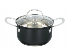 Alpina puodas su dangteliu, 16 cm skersmens, 1,8 l, indukcijai