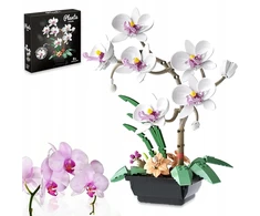 AMŽINŲ KALULŲ STATYBOS GĖLĖS ORCHIDĖJŲ PUOKŠTAS BOTANIKOS GĖLĖS DOVANA