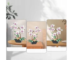 AMŽINŲ KALULŲ STATYBOS GĖLĖS ORCHIDĖJŲ PUOKŠTAS BOTANIKOS GĖLĖS DOVANA