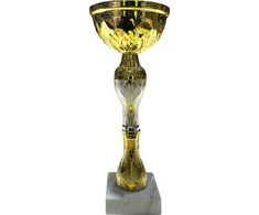 Apdovanojimo taurė H26cm met./plast./marm.
