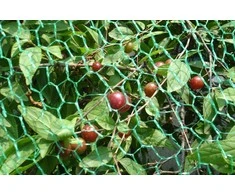 Apsauginis tinklas nuo paukščių 7g/m2 6x6m/8x8mm žalias/PE