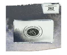 Aquarius Roman Szmal 262 Urban Pilkas akvarelė