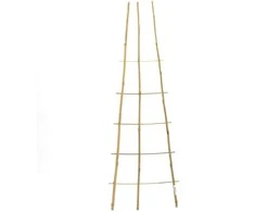 Atraminis kuolelis augalams H90cm bambukinis