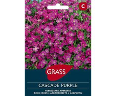 Aubrečių sėklos CASCADE PURPLE, 0,1 g
