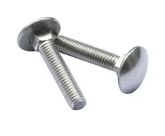 Baldiniai varžtai M6 x 10 mm, 20 vnt., cinkuoti