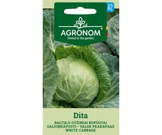 Baltūjų gūžinių kopūstų DITA sėklos, 1 g