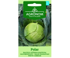 Baltūjų gūžinių kopūstų DITA sėklos, 1 g