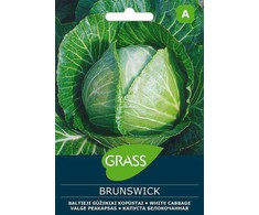 Baltųjų gūžinių kopūstų sėklos BRUNSWICK, 2 g