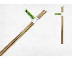 Bambukinė atrama NORT BAMBOO NTx50, 1 x 150 cm, 2 VNT