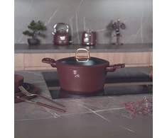 Berlinger Haus titaninis puodas su dangčiu Leonardo, 24 cm