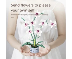 Bez Marki Konstrukciniai orchidėjos žiedų 3d kaladėlės, 536 elementai