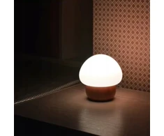 Bez Marki Led Nakties Lempa Vaikams, Medinė, Spalvų Keitimas, Nuotolinis Valdymas