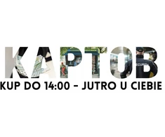 Bez Marki METALOWE PUDEŁKO NA PIENIĄDZE BILON MAŁY SEJF KASETKA SKARBONKA NA KLUCZYK