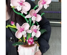 Bez Marki ORCHIDĖJŲ BLOKAS 567 EL RAUŽOS GĖLĖS TAURELĖJE GRAŽIOJI DEKORATYVINĖ DĖŽUTĖ