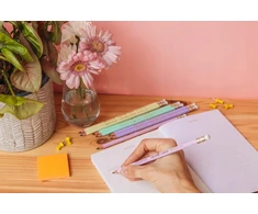 Bic Evolution Pastel Hb pieštukas su trintuku