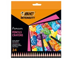 Bic Intensity Rinkinys: Pieštukai, Flomasteriai, Žymekliai, Troseliai