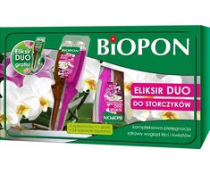 BIOPON DUO ELIKSYRAS ORCHIDOMS 5x35ml nemokamai