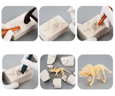 Bisky Kasinėjimų fosilijos Dinozaurai Skeletas Archeologinis rinkinys Akiniai „pasidaryk pats“.