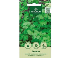 Blakinių kalendrų sėklos LEMON, 2 g