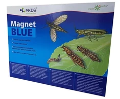 Blue Mėlyna Tripsų ir daiginių uodelių gaudyklė MAGNET Mėlynas