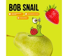 BOB SNAIL vaisių batonėlis OBUOLIŲ BRAKŠČIŲ ANARYDŽIAI be pridėtinio cukraus 15x35 g