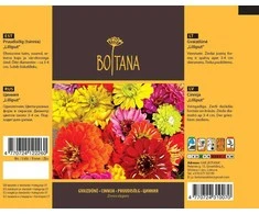 Botana Gvaizdūnių sėklos 0.5g Liliput