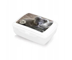 Branq POJEMNIK ŚNIADANIOWY ŚNIADANIÓWKA LUNCH BOX 1,3L