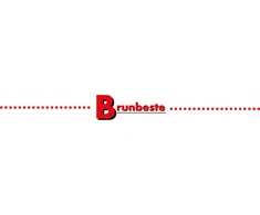 Brunbeste DIDELIS nerūdijančiojo plieno PUODAS 26 cm 8,2 L DUJŲ INDUKCINIS PUODAS SU KIAULIU