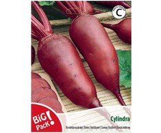 Burokėliai raudonieji Cylindra 10g 07840