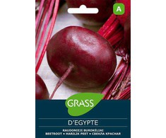 Burokėlių sėklos D'EGYPTE, 8 g