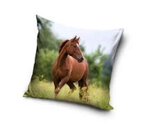 Carbotex Užvalkalas na poduszkę 40x40cm KOŃ