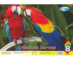 Centrum Spalvotas kartonas A4, 8 lapai