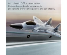 click4TOYS RC Airplane 2,4 GHz RC Plane Sklandantis lėktuvas F22 aiflystore AG