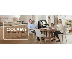 COLAMY 2 valgomojo kėdžių rinkinys, minkštos virtuvės kėdės su medinėmis kojomis ir aukštu atlošu