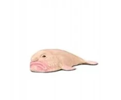 COLLECTA 80037 – BLOBFISH PSYCHROLUTES MARCIDUS