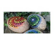 Craft Amatų rinkinys 36 vnt.