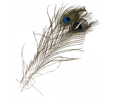 Craft with Fun Dekoratyvinis ornamentas Plunksnos 32cm 1pc Paw Pbh 20/1200
