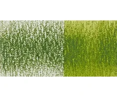 Crayonai Derwent Inktense - Paparčio 156