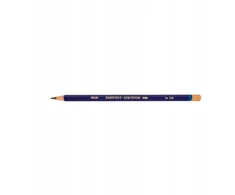 Crayons Derwent Inktense - Tan 172