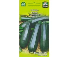 Bikuvalt Cukinijos Juodas Beauty 2g 0216