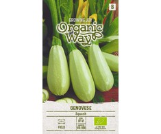 Cukinijų sėklos GENOVESE, 1 g